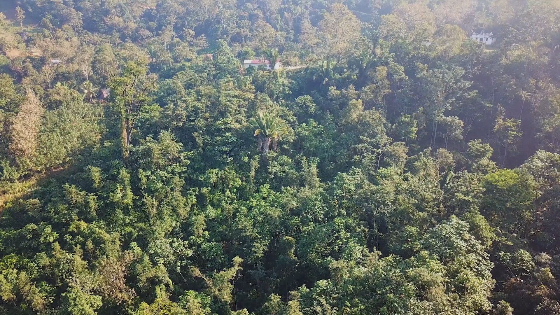 Cacao Convergence Guatemala - 2019 Event Recap