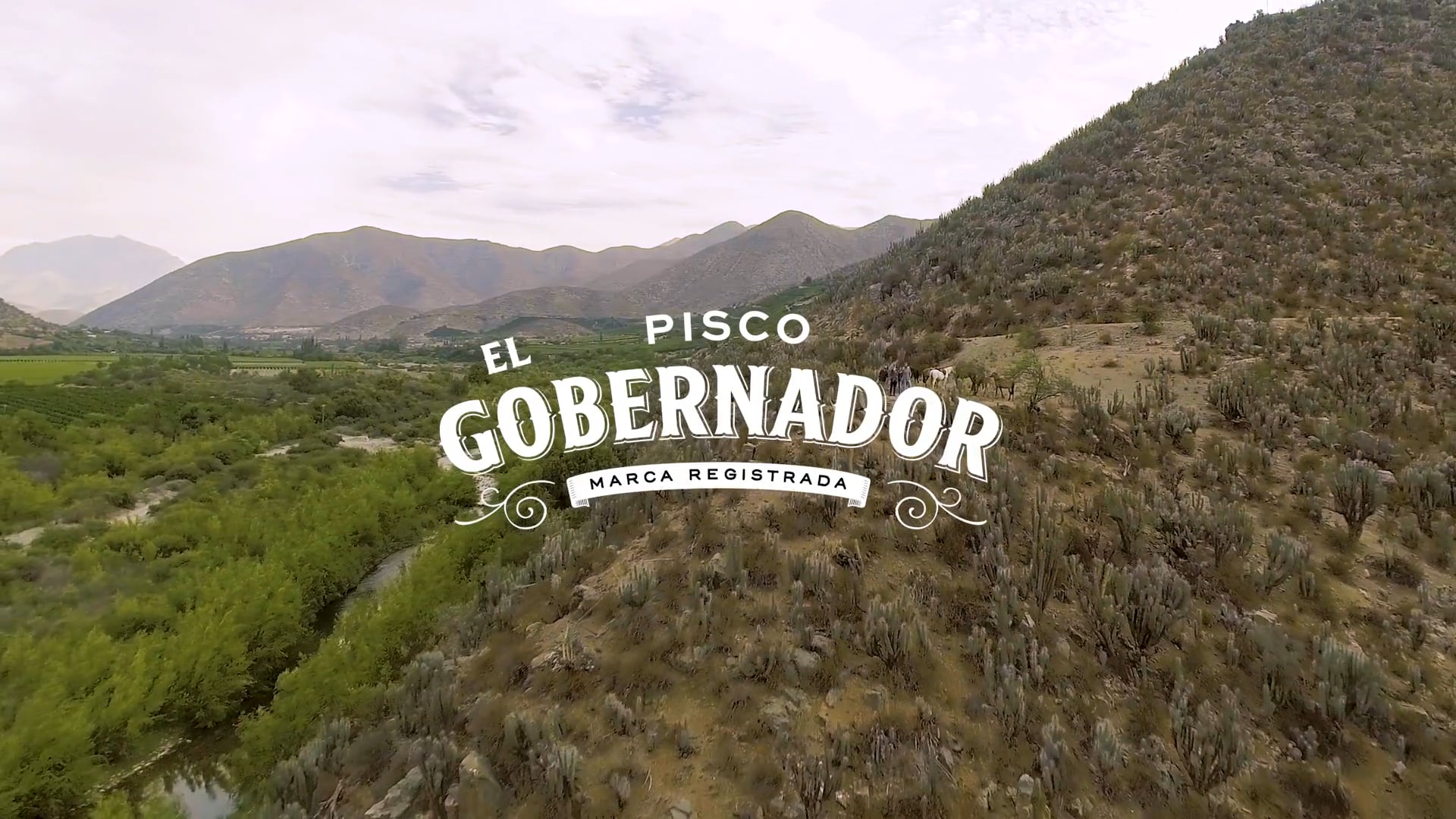 Viña Miguel Torres - Live the Real El Gobernador Experience