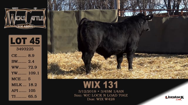 Lot #45 - WIX F31