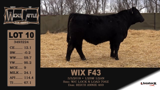 Lot #10 - WIX F43