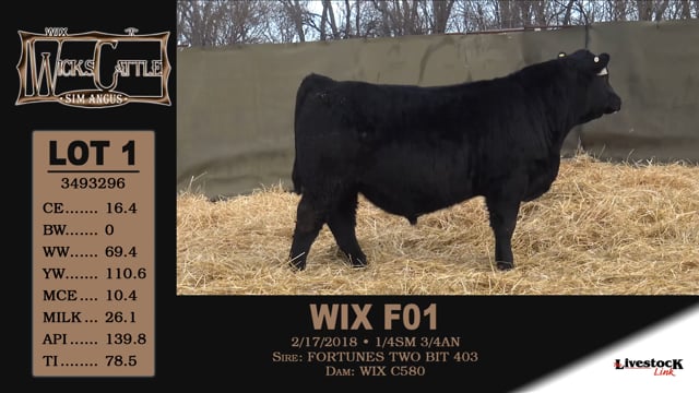 Lot #1 - WIX F01