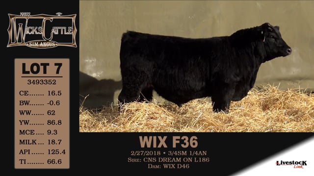 Lot #7 - WIX F36