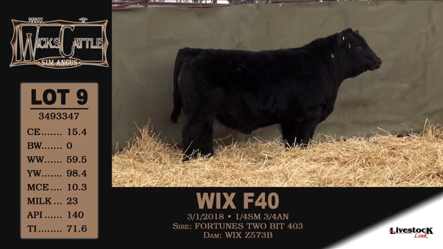 Lot #9 - WIX F40