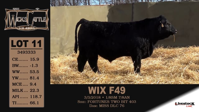 Lot #11 - WIX F49