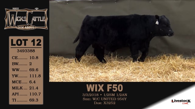 Lot #12 - WIX F50