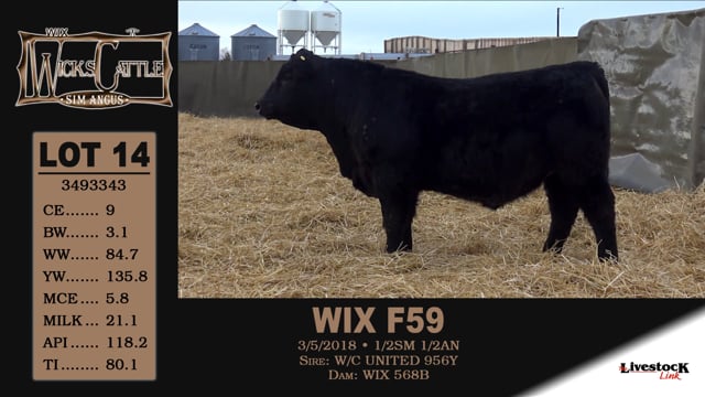 Lot #14 - WIX F59