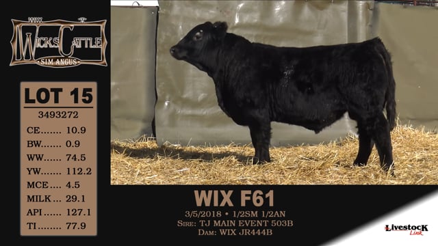 Lot #15 - WIX F61