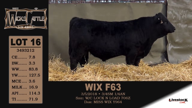 Lot #16 - WIX F63