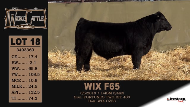 Lot #18 - WIX F65