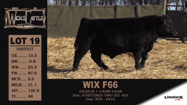 Lot #19 - WIX F 66