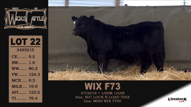 Lot #22 - WIX F73