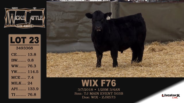 Lot #23 - WIX F76
