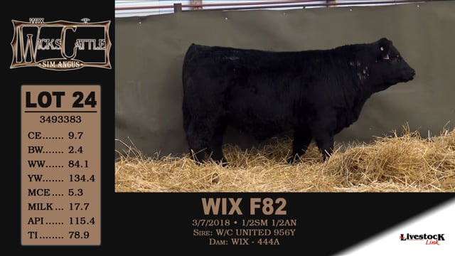 Lot #24 - WIX F82