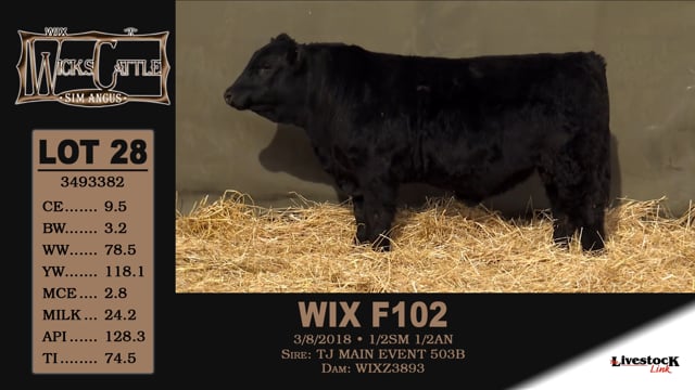 Lot #28 - WIX F102