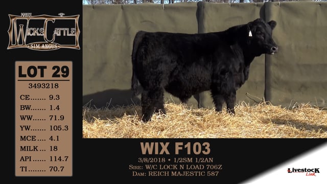 Lot #29 - WIX F103