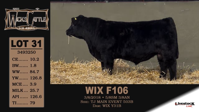 Lot #31 - WIX F106