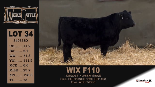 Lot #34 - WIX F110