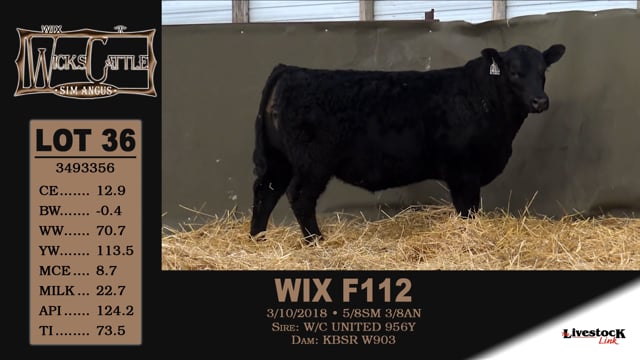 Lot #36 - WIX F112