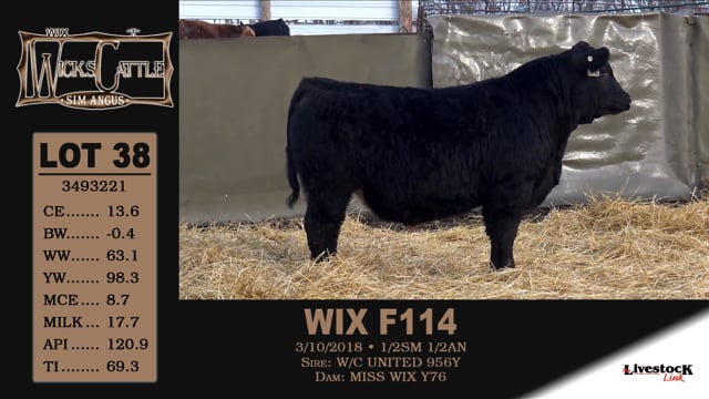 Lot #38 - WIX F114