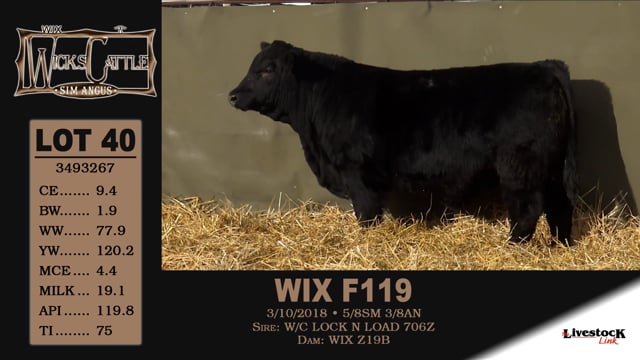 Lot #40 - WIX F119
