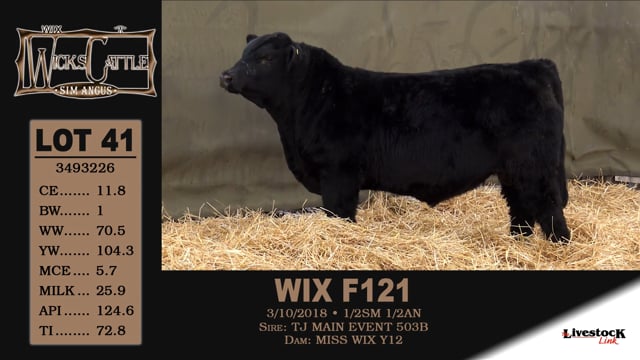 Lot #41 - WIX F121