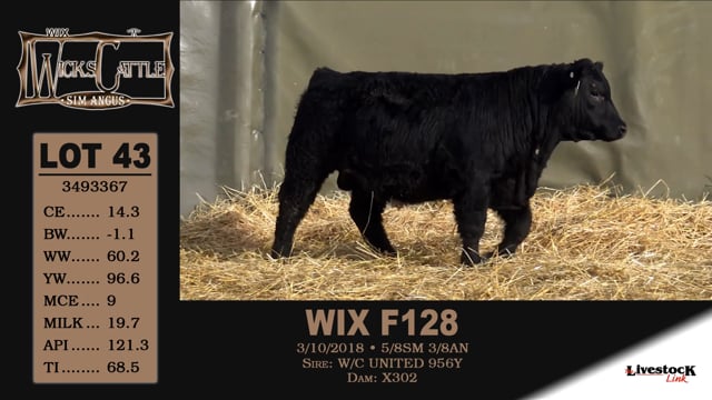 Lot #43 - WIX F128
