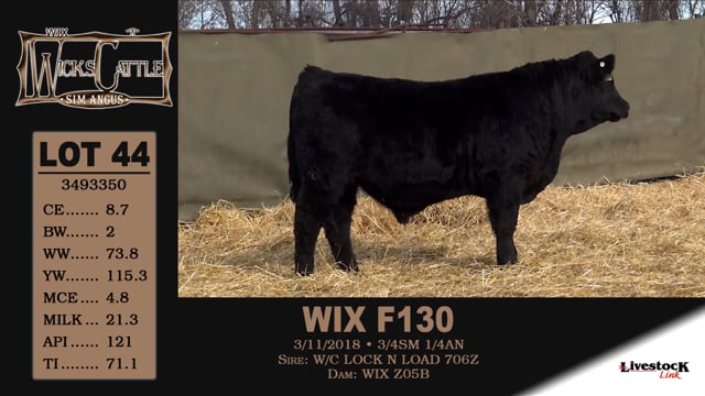 Lot #44 - WIX F130