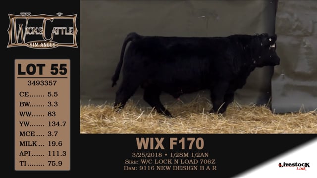 Lot #55 - WIX F170