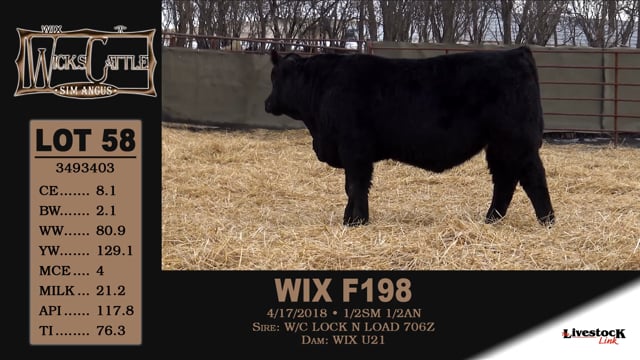 Lot #58 - WIX F198