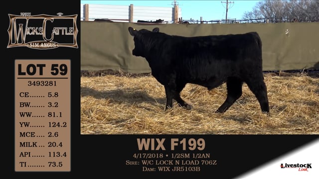 Lot #59 - WIX F199