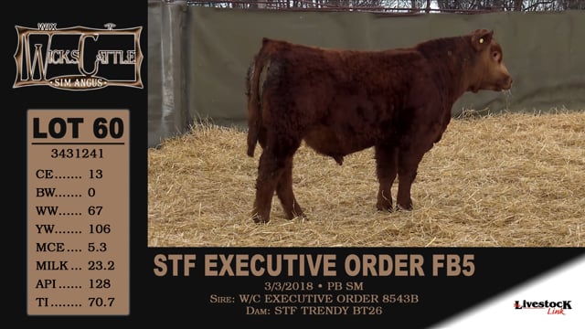 Lot #60 - STF EXECUTIVE ORDER FB5