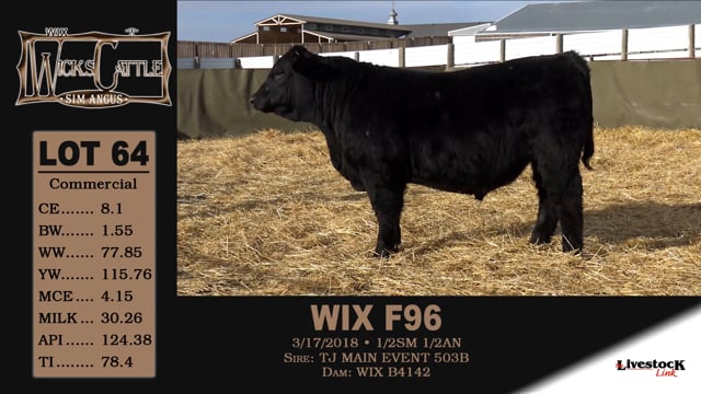 Lot #64 - WIX F96