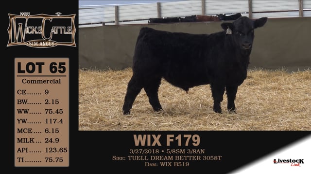 Lot #65 - WIX F179