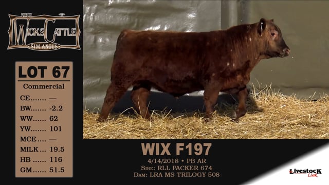 Lot #67 - WIX F197