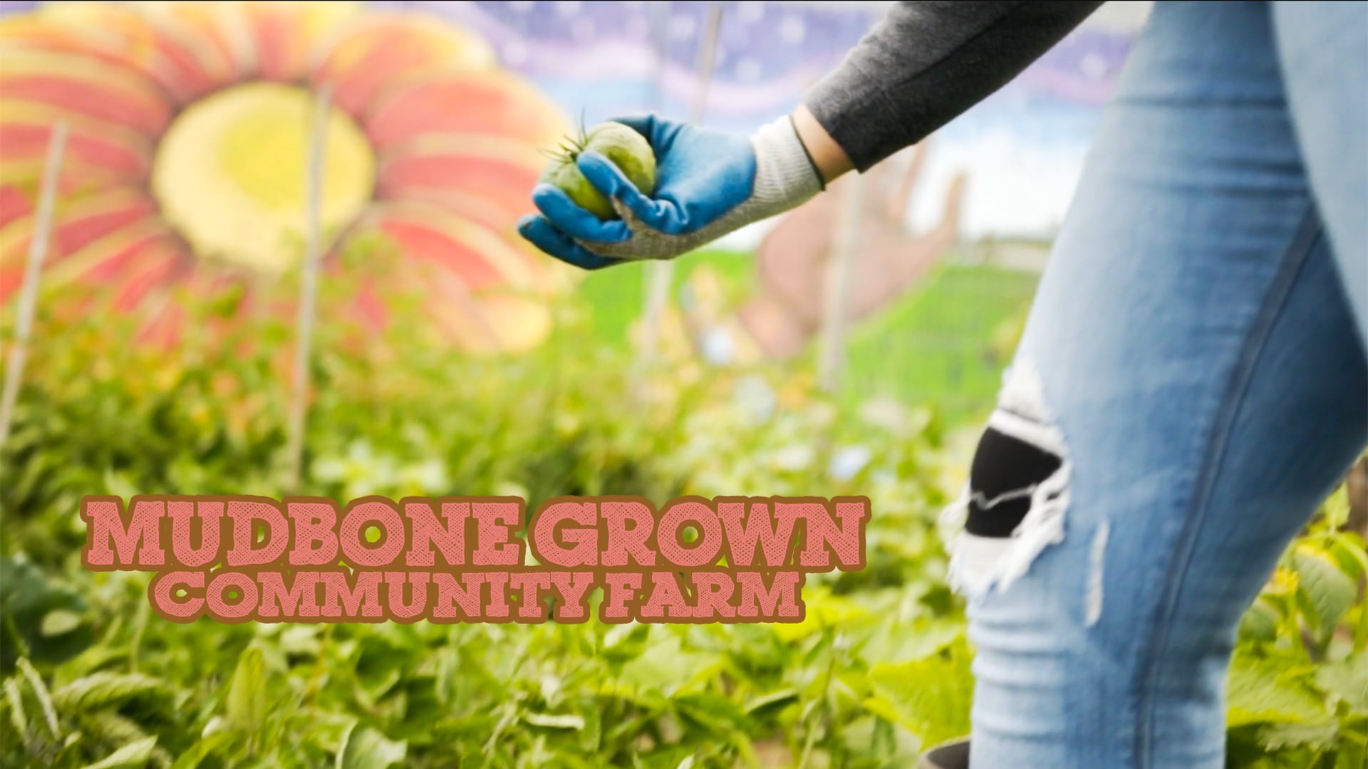 Mudbone Grown - The Story