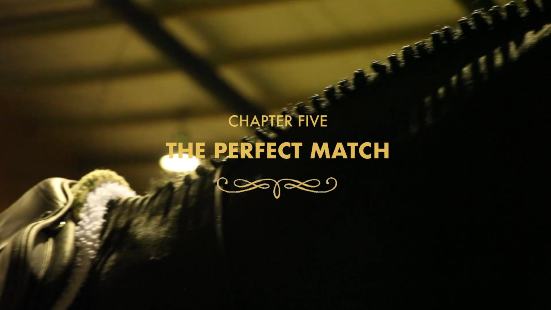 Chapter Five: The Perfect Match