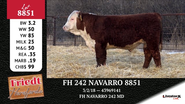 Lot #8851 - FH 242 NAVARRO 8851