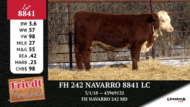 Lot #8841 - FH 242 NAVARRO 8841 LC