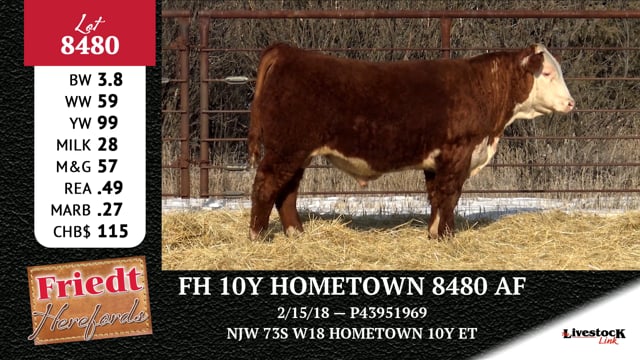 Lot #8480 - FH 10Y HOMETOWN 8480 AF