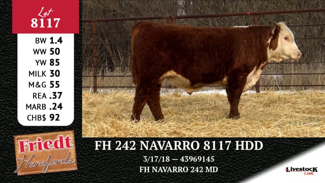 Lot #8117 - FH 242 NAVARRO 8117 HDD