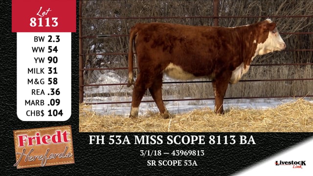 Lot #8113 - FH 53A MISS SCOPE 8113 BA