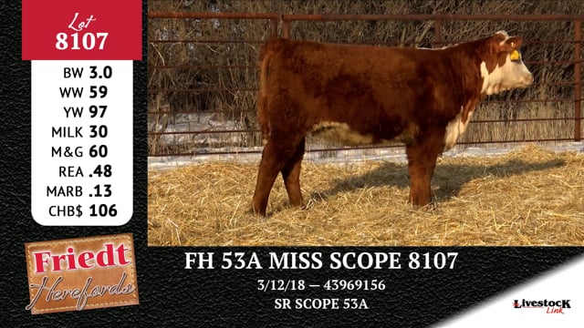Lot #8109 - FH 6199 ADA 8109