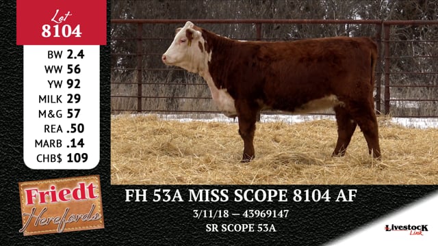 Lot #8104 - FH 53A MISS SCOPE 8104 AF