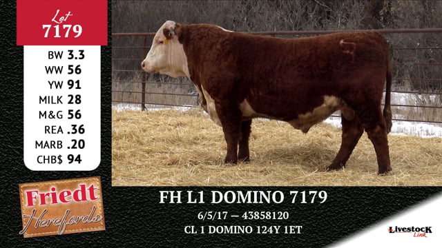 Lot #7179 - FH L1 DOMINO 7179
