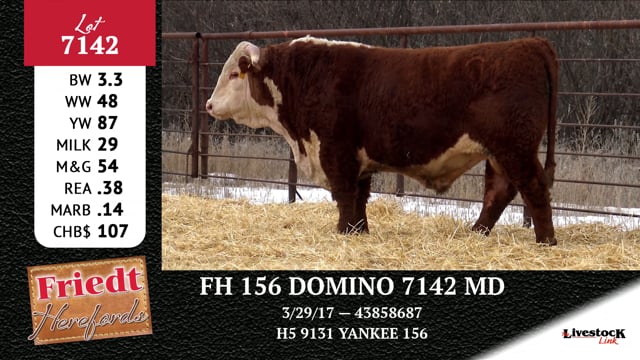 Lot #7142 - FH 156 DOMINO 7142 MD