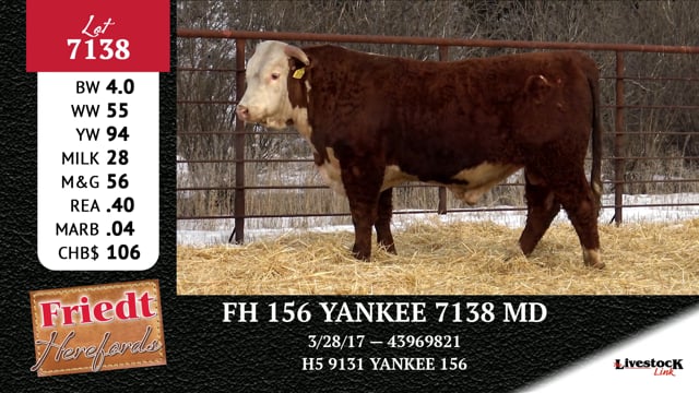 Lot #7138 - FH 156 YANKEE 7138 MD