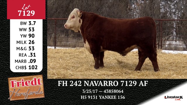 Lot #7129 - FH 242 NAVARRO 7129 AF