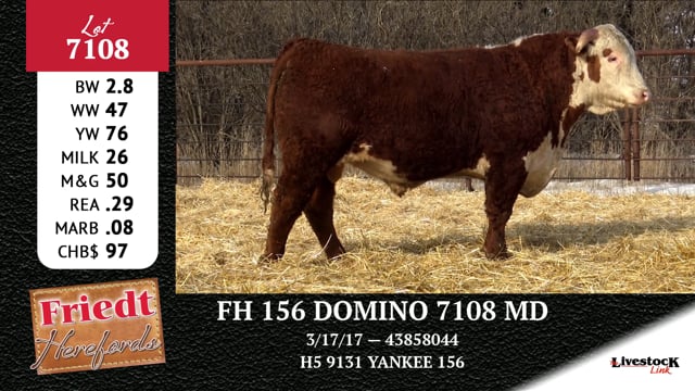 Lot #7108 - FH 156 DOMINO 7108 MD