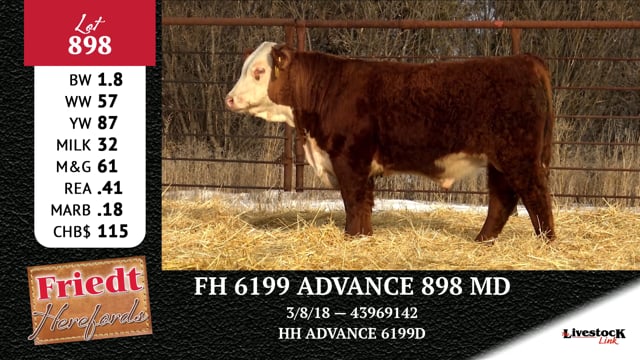 Lot #898 - FH 6199 ADVANCE 898 MD
