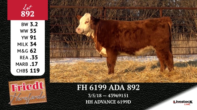 Lot #892 - FH 6199 ADA 892